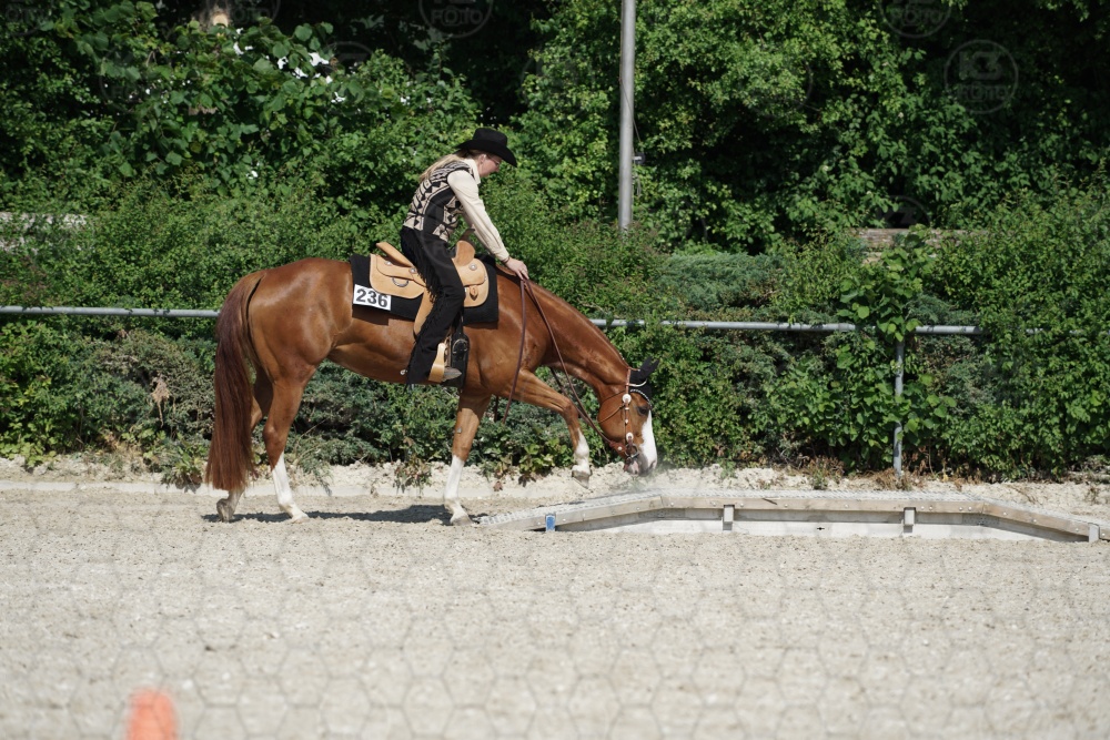 s_APF06485.jpg